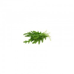 RUCOLA BIOLOGICA SURGELATA 4/8 mm SURGELATA IQF crt 1x15kg
