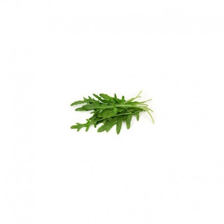 RUCOLA BIOLOGICA SURGELATA 4/8 mm SURGELATA IQF crt 1x15kg
