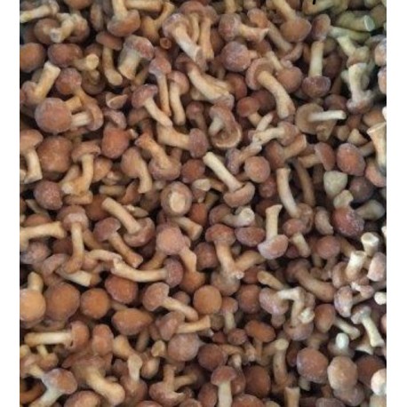 FUNGHI NAMEKO INTERI SURGELATI Crt 1X10kg
