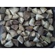 FUNGHI SHIITAKE QUARTI SURGELATI Crt 1X10kg