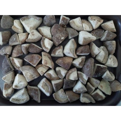 FUNGHI SHIITAKE QUARTI SURGELATI Crt 1X10kg