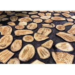 MELANZANE A FETTE FRITTE SURG. 1x7kg